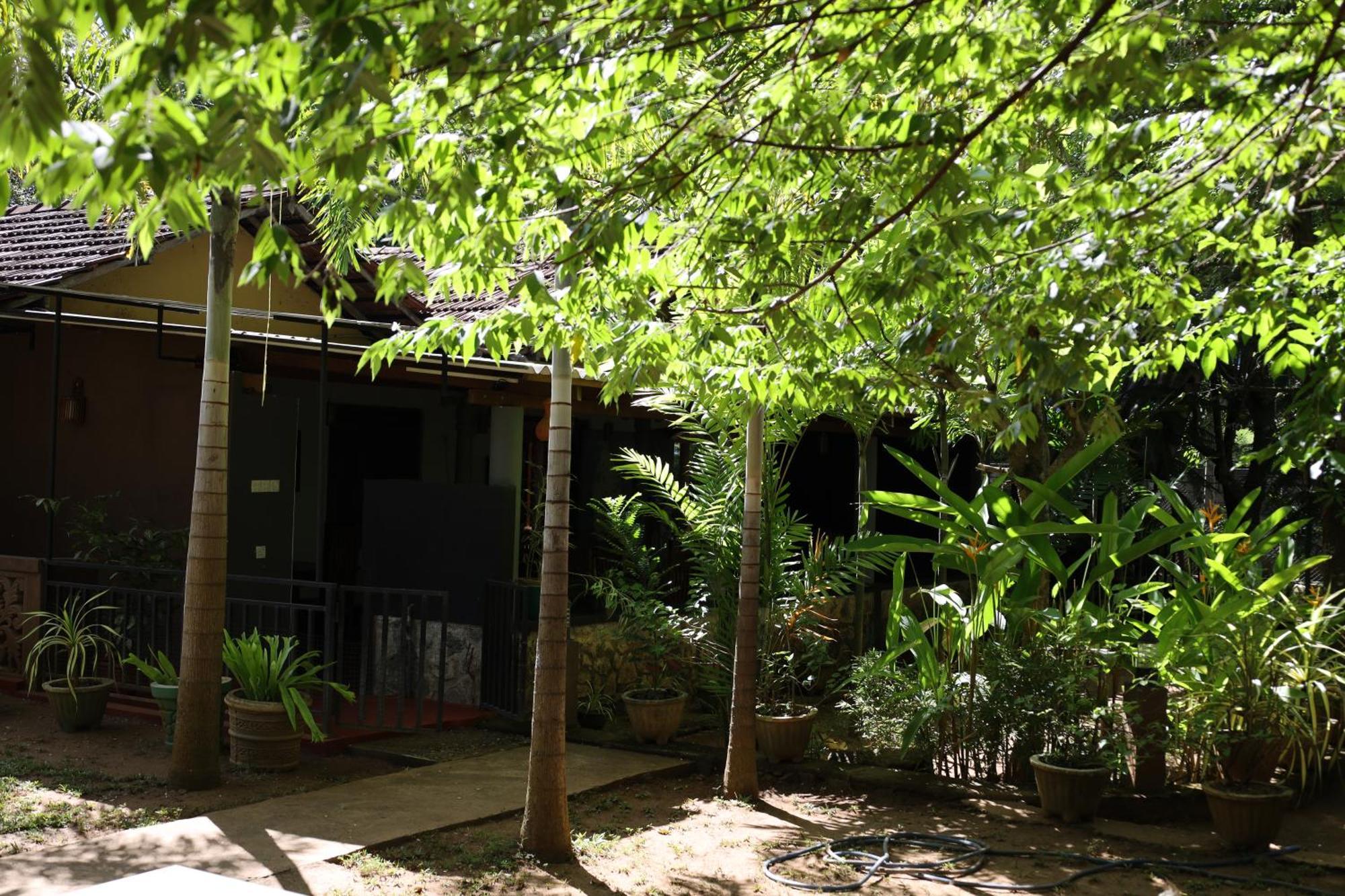 Max Safari Villa Udawalawe Dış mekan fotoğraf